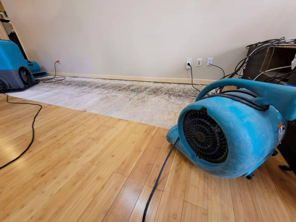 Professional Basement Flood Cleanup technician working in Lafayette, NJ